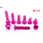 RÓŻOWE ALUMINIOWE ŚRUBY ISO 7380 M2,5